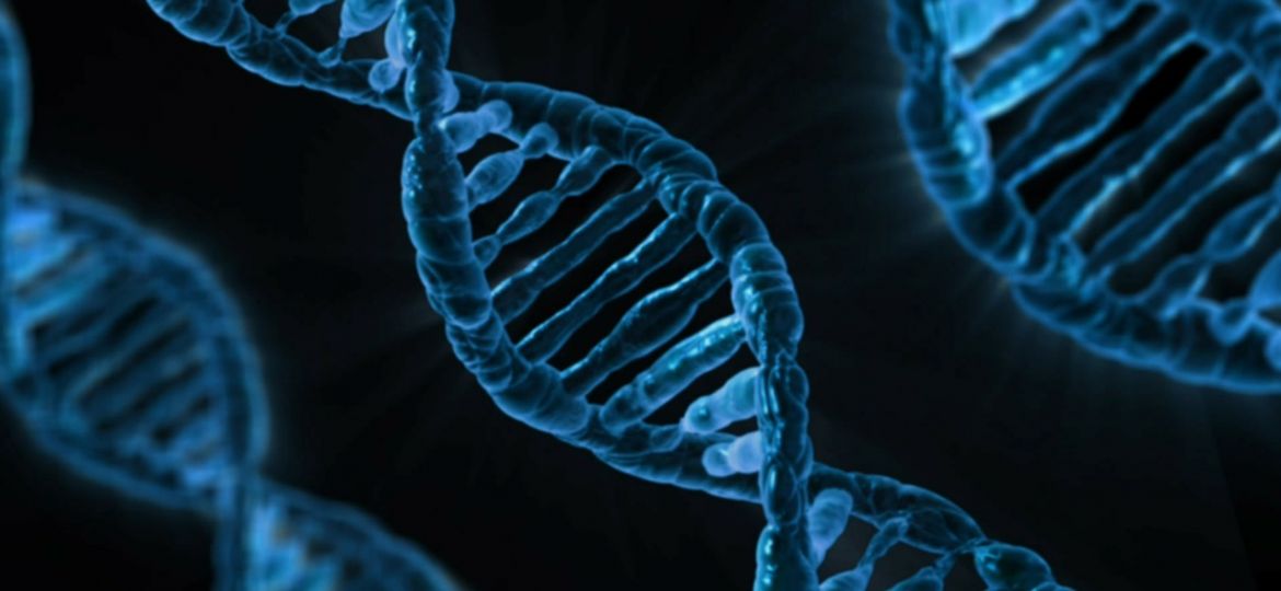 Almacenamiento de información en ADN